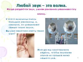 Органы слуха, слайд 6