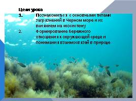 Черное море и хозяйственная деятельность человека, слайд 13
