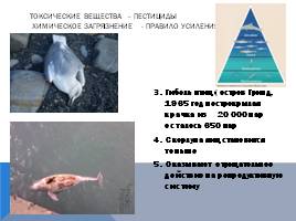 Черное море и хозяйственная деятельность человека, слайд 22