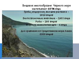 Черное море и хозяйственная деятельность человека, слайд 9
