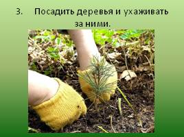 Экологические права и обязанности граждан РФ, слайд 13