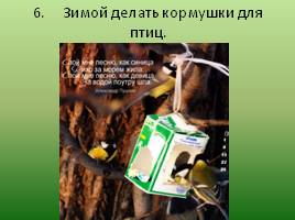 Экологические права и обязанности граждан РФ, слайд 16