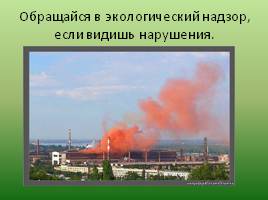 Экологические права и обязанности граждан РФ, слайд 17