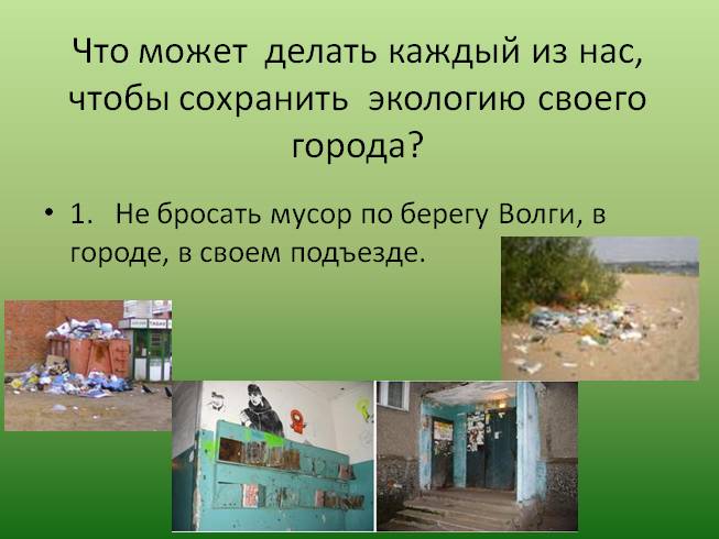 Презентация Экологические права и обязанности граждан РФ