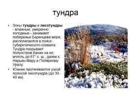 Природные комплексы Русской равнины, слайд 1