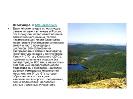 Природные комплексы Русской равнины, слайд 2