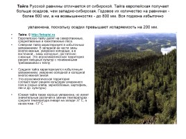 Природные комплексы Русской равнины, слайд 4