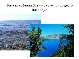Экосистема озера, слайд 6