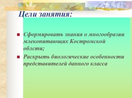 Млекопитающие Костромской области, слайд 2