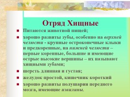 Млекопитающие Костромской области, слайд 7