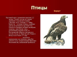 Красная книга Костромской области, слайд 14