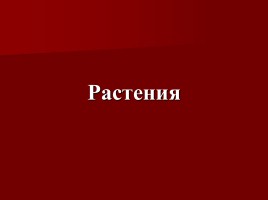 Красная книга Костромской области, слайд 5