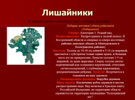 Красная книга Костромской области, слайд 9