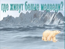 Где живут белые медведи?, слайд 1
