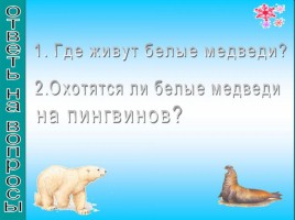Где живут белые медведи?, слайд 13
