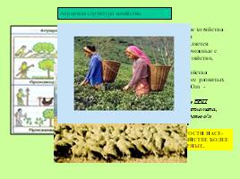 Отраслевая и территориальная структура мирового хозяйства, слайд 3