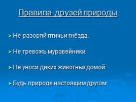 Охрана животных Крыма, слайд 21