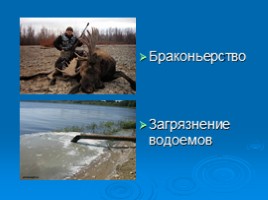 Охрана животных Крыма, слайд 4