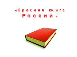 Красная книга России, слайд 1