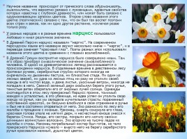 Первоцветы, слайд 6