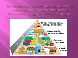Проект ученика «Правильное питание» 3 класс, слайд 5