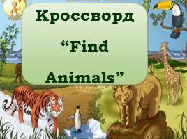 Riddles about Animals, слайд 29