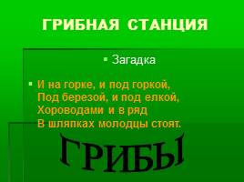 Игра-соревнование по станциям «Жизнь леса» 4 класс, слайд 18