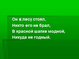 Игра-соревнование по станциям «Жизнь леса» 4 класс, слайд 25