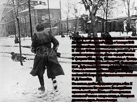 Освобождение Ростова-на-Дону 14 февраля 1943 года, слайд 3