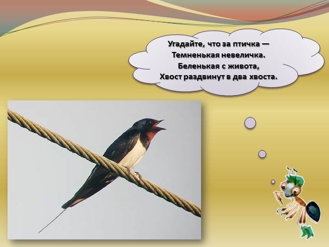 Презентация Где зимуют птицы