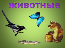 Кто такие насекомые, птицы, рыбы и звери? (1 класс), слайд 12