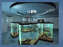 Виды аквариумов, слайд 6