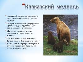Животный мир Краснодарского края, слайд 27