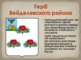 Гербы Белгородской области, слайд 7