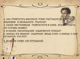 Знатоки Русского языка и литературы 7-8 класс, слайд 11