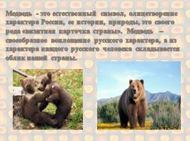 Медведь – символ России, слайд 16