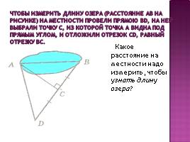 Урок геометрии в 7 классе «Треугольники», слайд 9