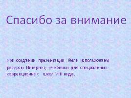 Развитие письменной речи в среднем звене коррекционной школы, слайд 29