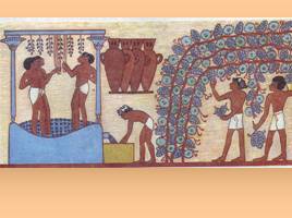 Земледельческие работы в Древнем Египте, слайд 10
