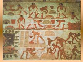Земледельческие работы в Древнем Египте, слайд 13