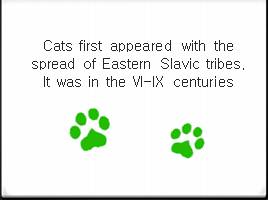 Russian native breeds of cats, слайд 2