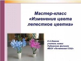 Мастер-класс «Изменение цвета лепестков цветка», слайд 1