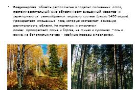 Растительный и животный мир Владимирской области, слайд 3