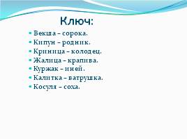 Лексика русского языка с точки зрения сферы употребления, слайд 10