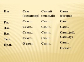 Урок русского языка в 6 классе «Определительные местоимения», слайд 8