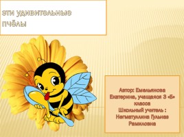 Пчёлы, слайд 1