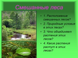 Леса России, слайд 9