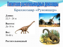 Динозавры, слайд 3