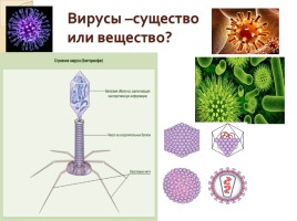 Строение клеток растений, животных, грибов - Вирусы, слайд 18