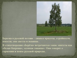 Любовная и пейзажная лирика Есенина, слайд 5